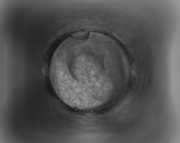 X0000089711495200707121403