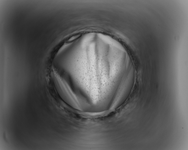 X0000089711496200707121403