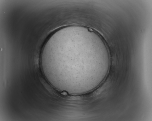 X0000089711499200707121403