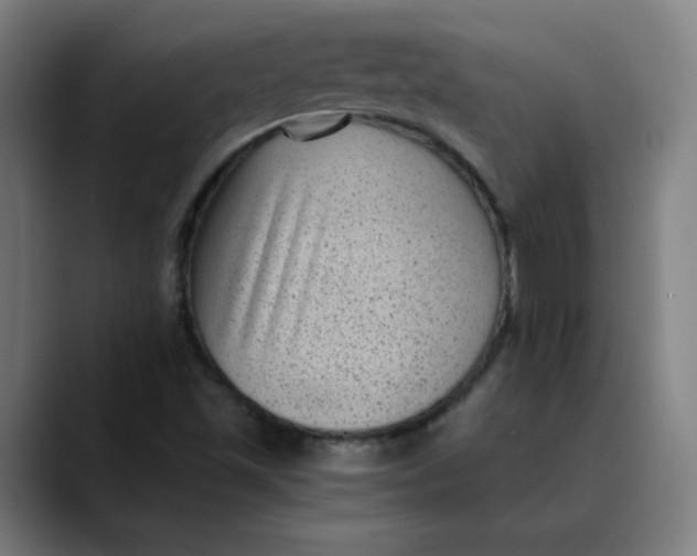 X0000089711501200707121403