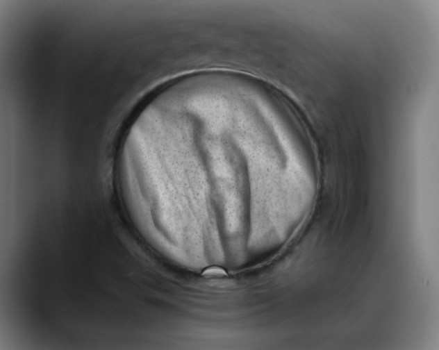 X0000089711503200707121403