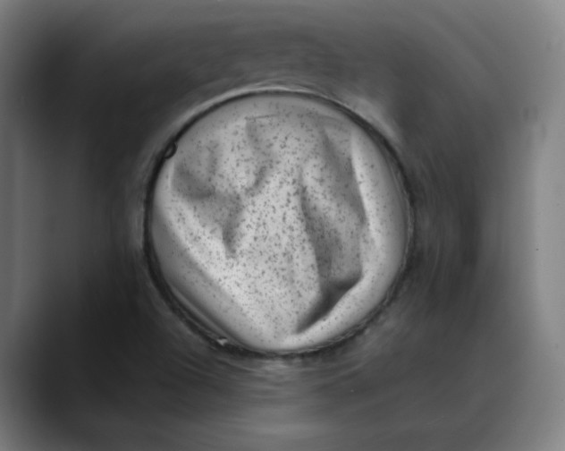 X0000089711504200707121403