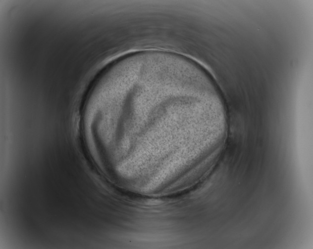 X0000089711507200707121403