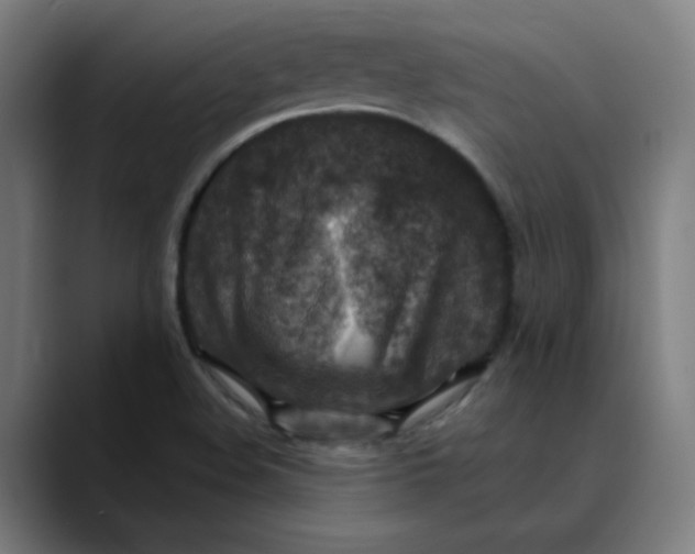 X0000089711508200707121403