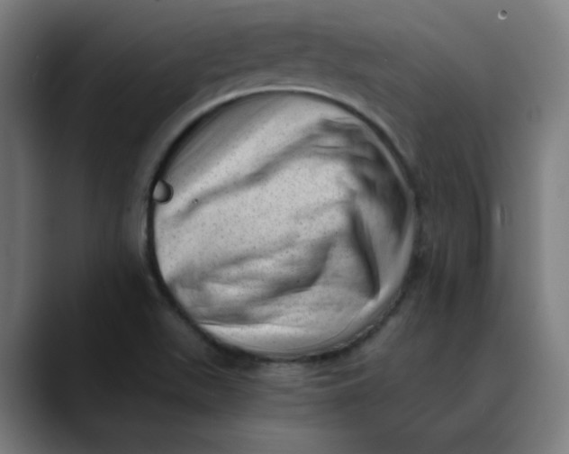 X0000089711511200707121403