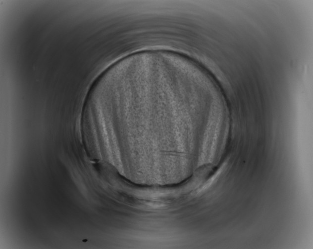 X0000089711513200707121403