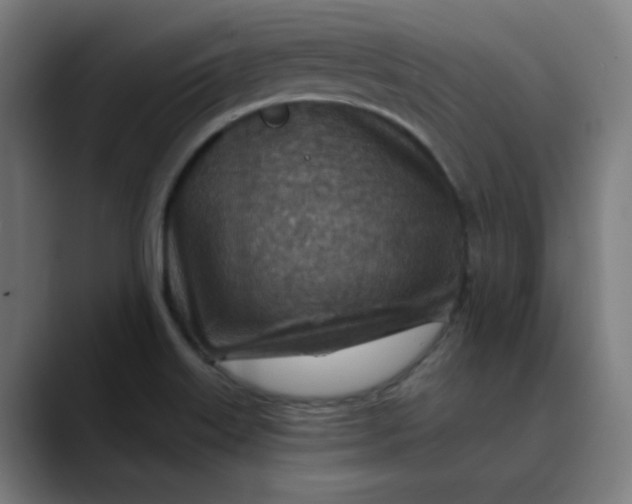 X0000089711515200707121403