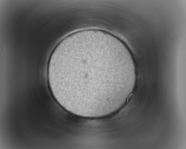 X0000089711516200707121403