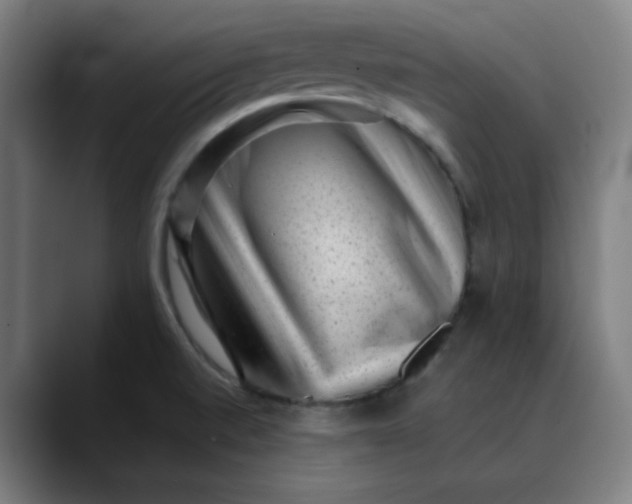 X0000089711520200707121403