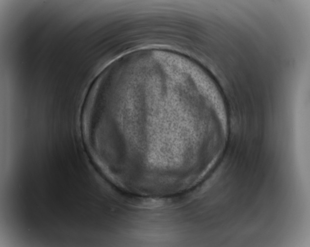 X0000089711521200707121403