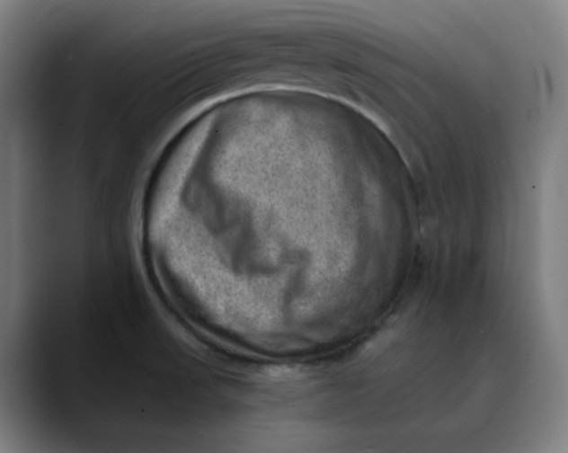 X0000089711523200707121403