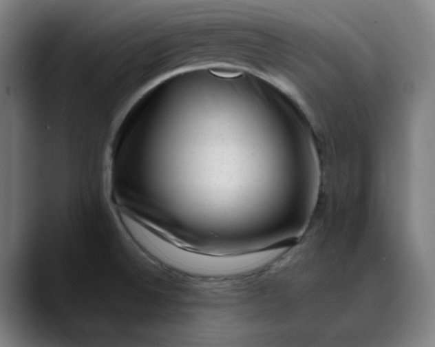 X0000089711524200707121403