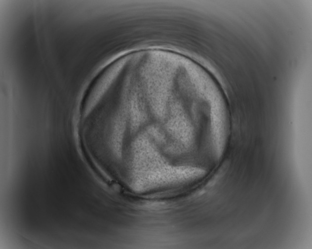 X0000089711525200707121403