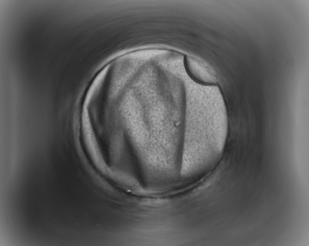 X0000089711526200707121403