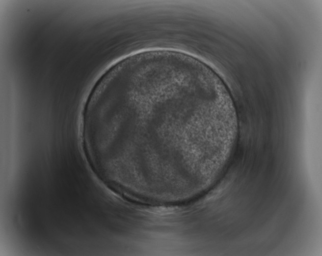 X0000089711527200707121403