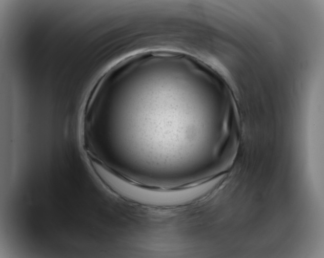 X0000089711528200707121403