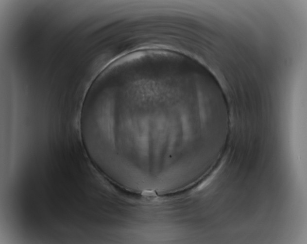 X0000089711529200707121403