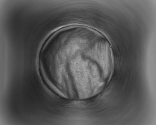 X0000089711531200707121403