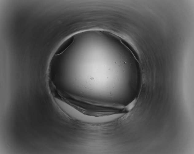 X0000089711532200707121403