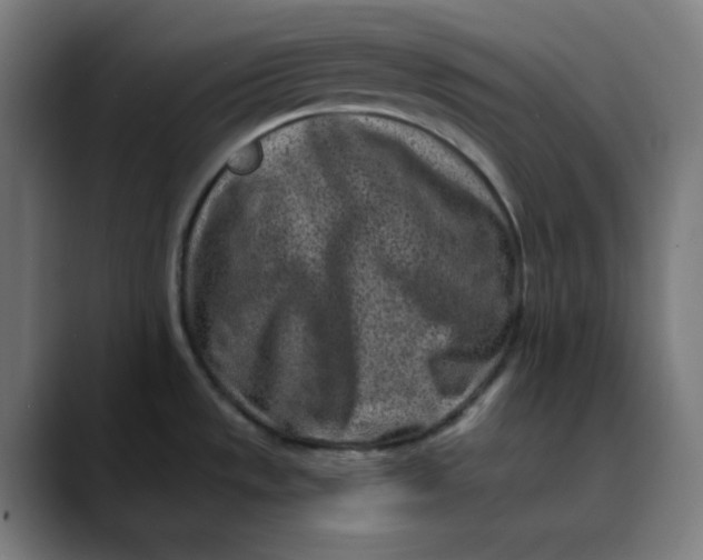 X0000089711533200707121403