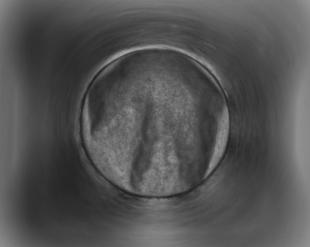 X0000089711534200707121403