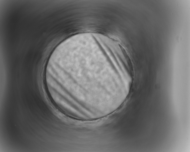 X0000089710001200707201810