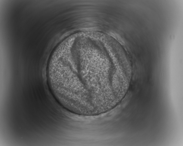 X0000089710002200707201810
