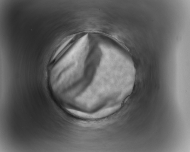 X0000089710005200707201810