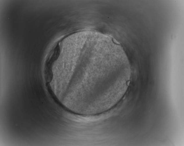 X0000089710006200707201810