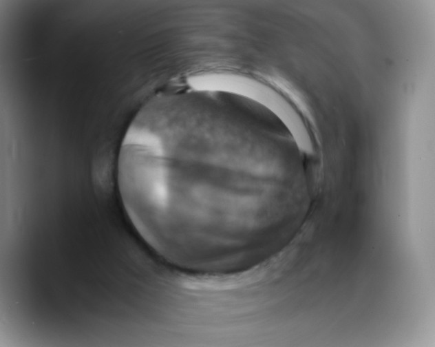 X0000089710009200707201810