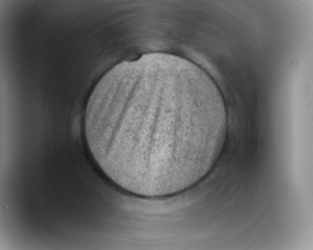 X0000089710010200707201810