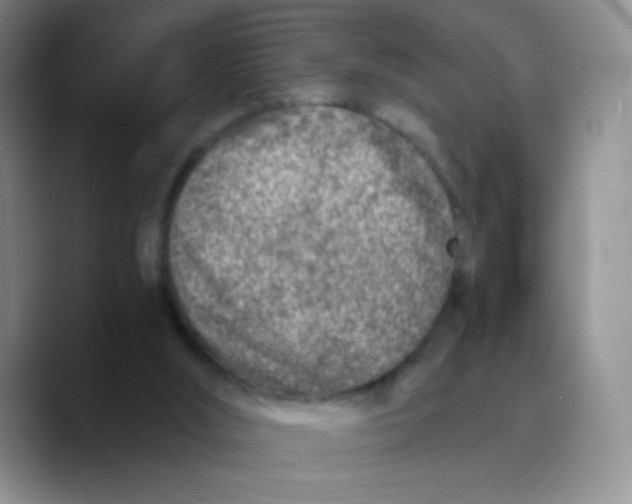 X0000089710012200707201810
