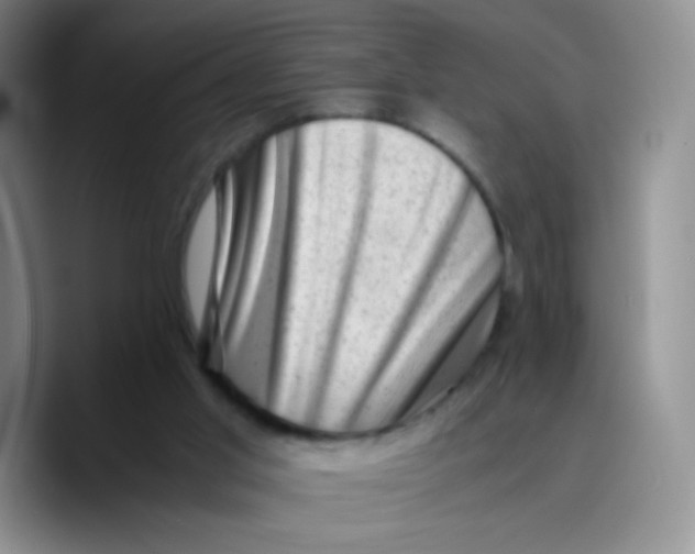 X0000089710013200707201810