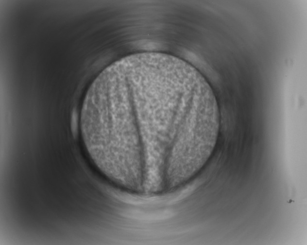 X0000089710014200707201810