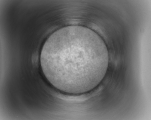 X0000089710016200707201810