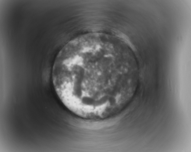 X0000089710018200707201810