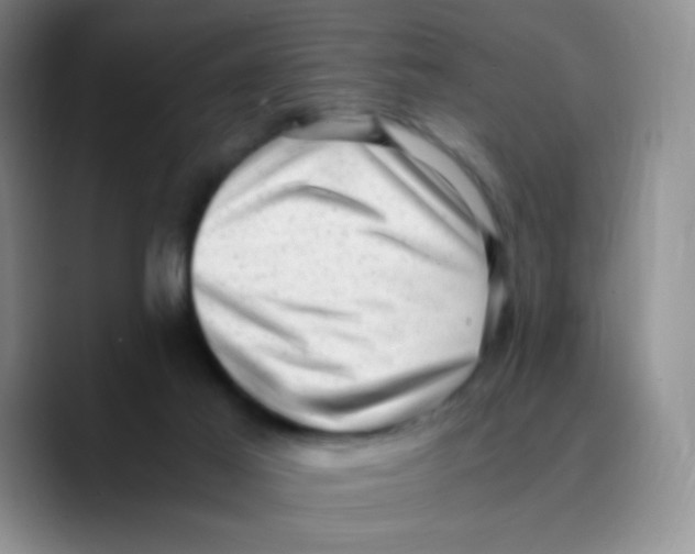 X0000089710021200707201810