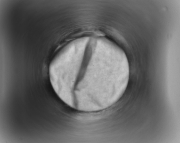 X0000089710025200707201809