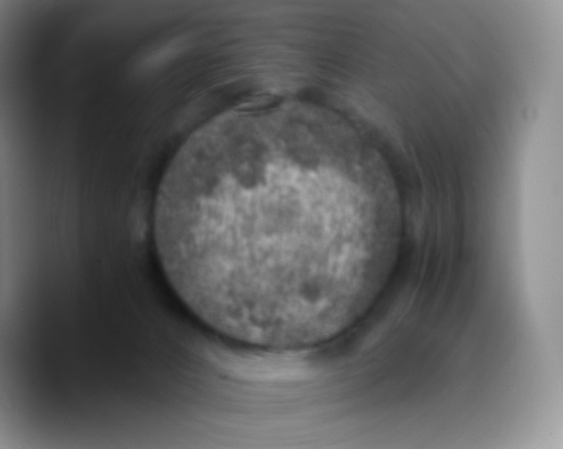 X0000089710032200707201809