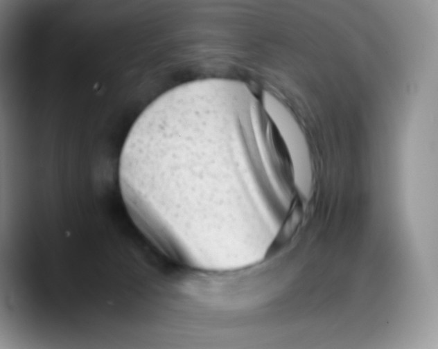 X0000089710033200707201809