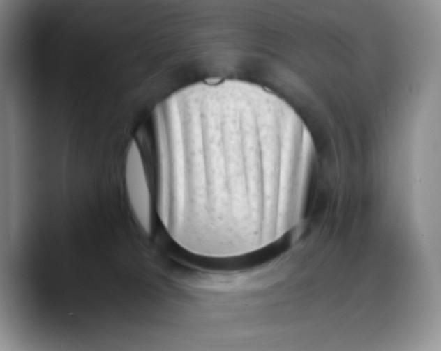 X0000089710037200707201809