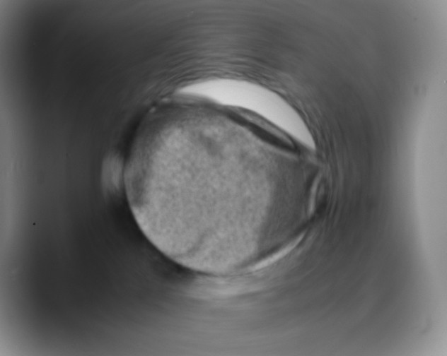 X0000089710041200707201809