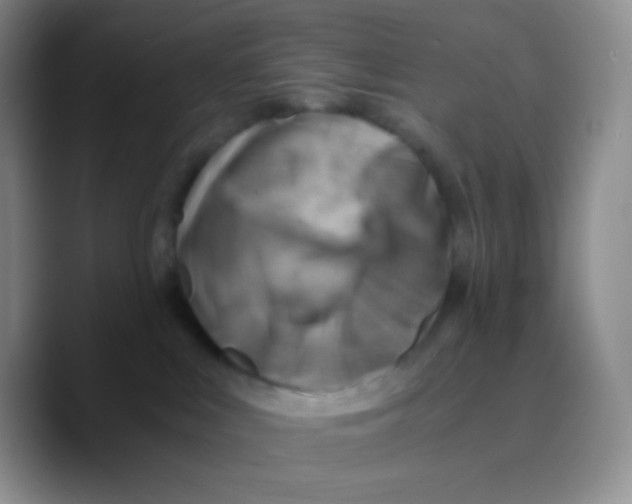 X0000089710043200707201809