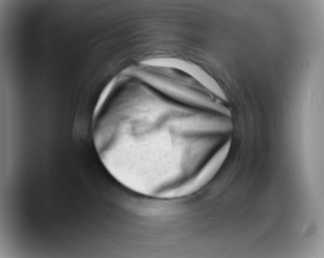 X0000089710044200707201809