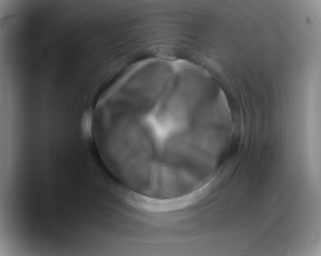 X0000089710047200707201809