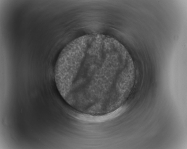 X0000089710048200707201809