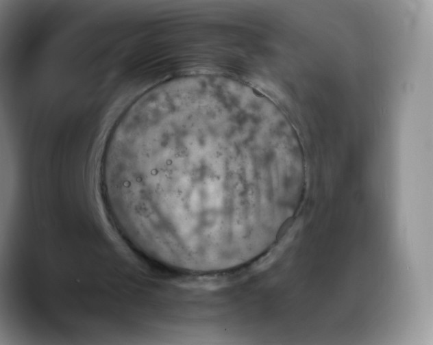 X0000089710049200707201809