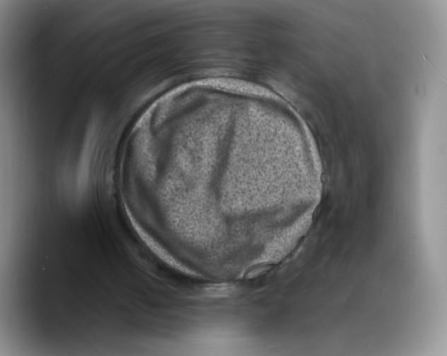 X0000089710050200707201809