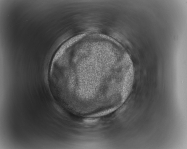 X0000089710051200707201809