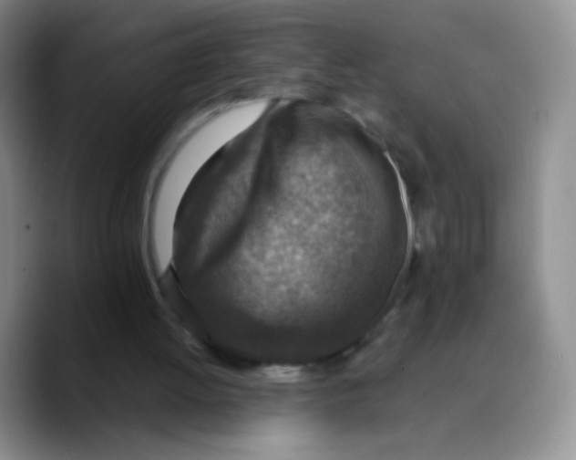 X0000089710052200707201809